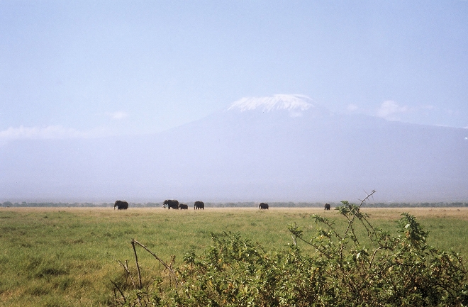 キリマンジャロ