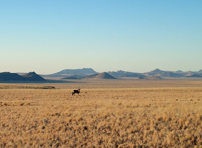ナミブ砂漠