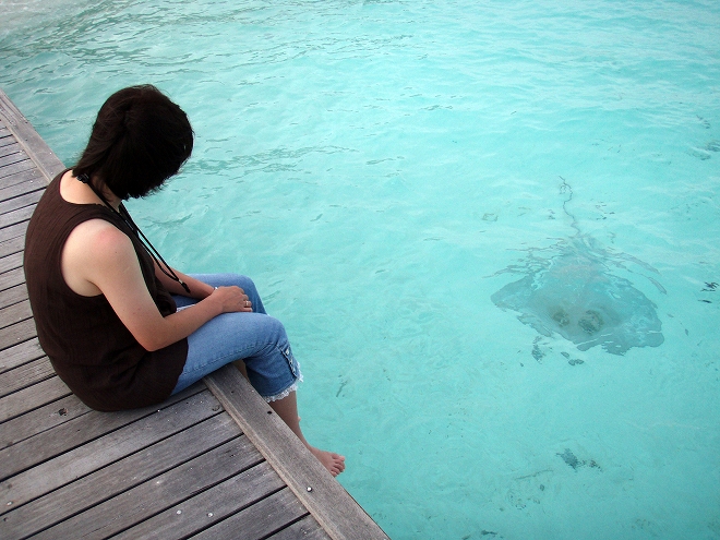 バンヤンツリー