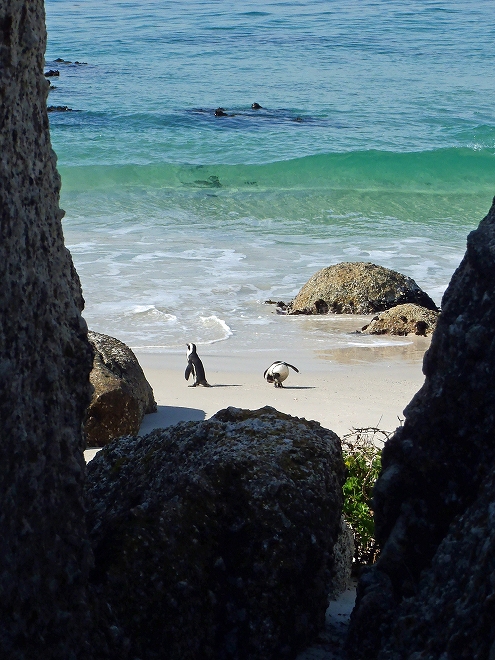 ボルダーズ・ビーチ