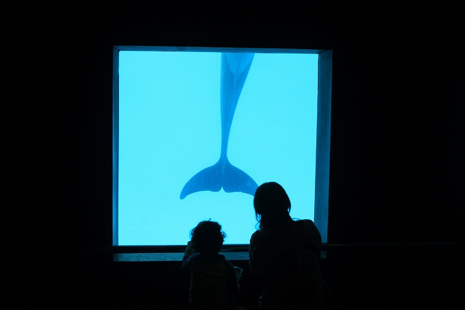 南知多ビーチランド