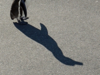 南知多ビーチランド