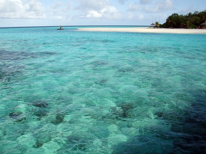 モルディヴ・バンヤンツリー