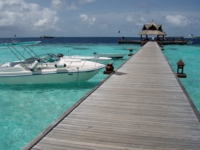 モルディヴ・バンヤンツリー